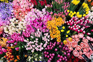 AMD公布FSR 4！或仅限于RX 9070系列