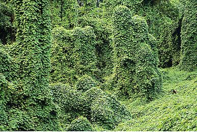 《潜行者2》不再跳票了 预购奖励已可以预载