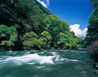 快来！《诈欺娇娃》在Xbox和PC平台上开启九折优惠预购！